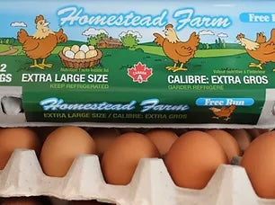 Homestead Extra Large Free Run - 1 dozen