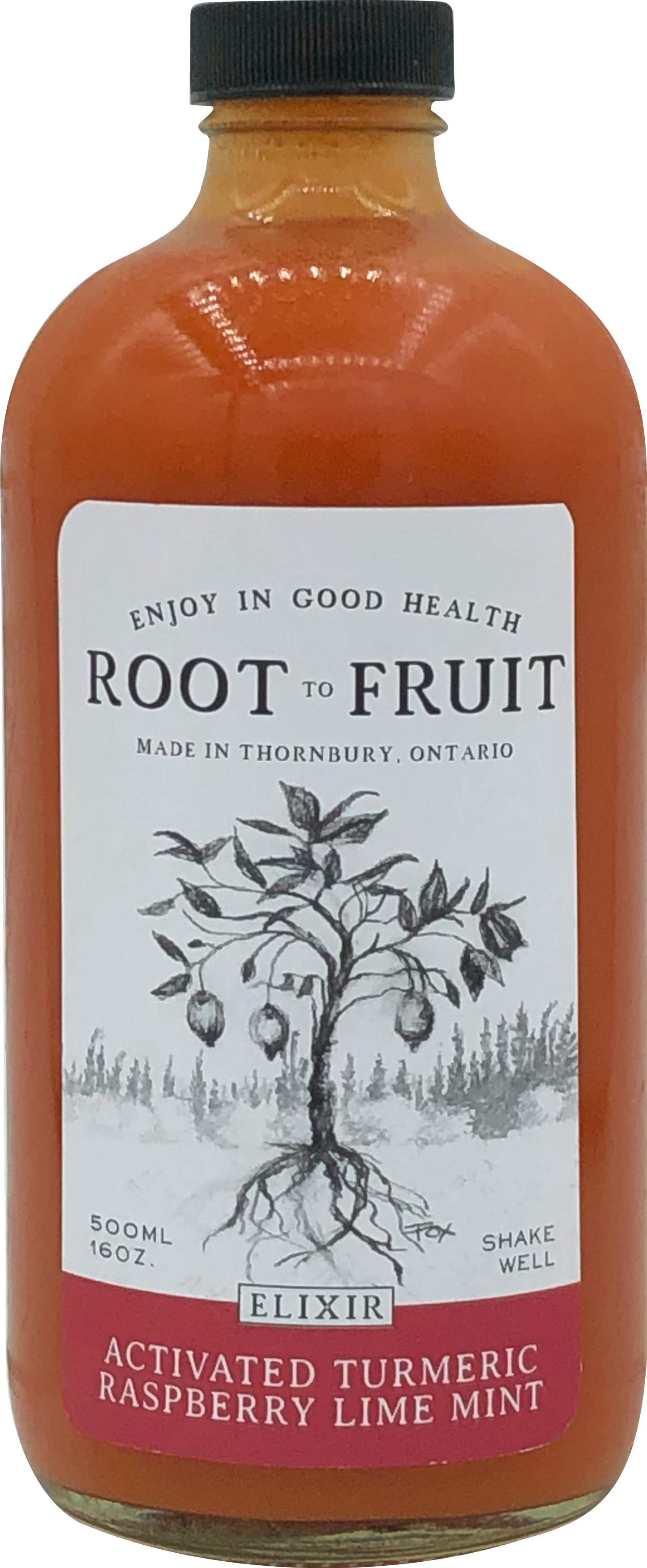 Activated Turmeric Ginger Raspberry Lime Mint