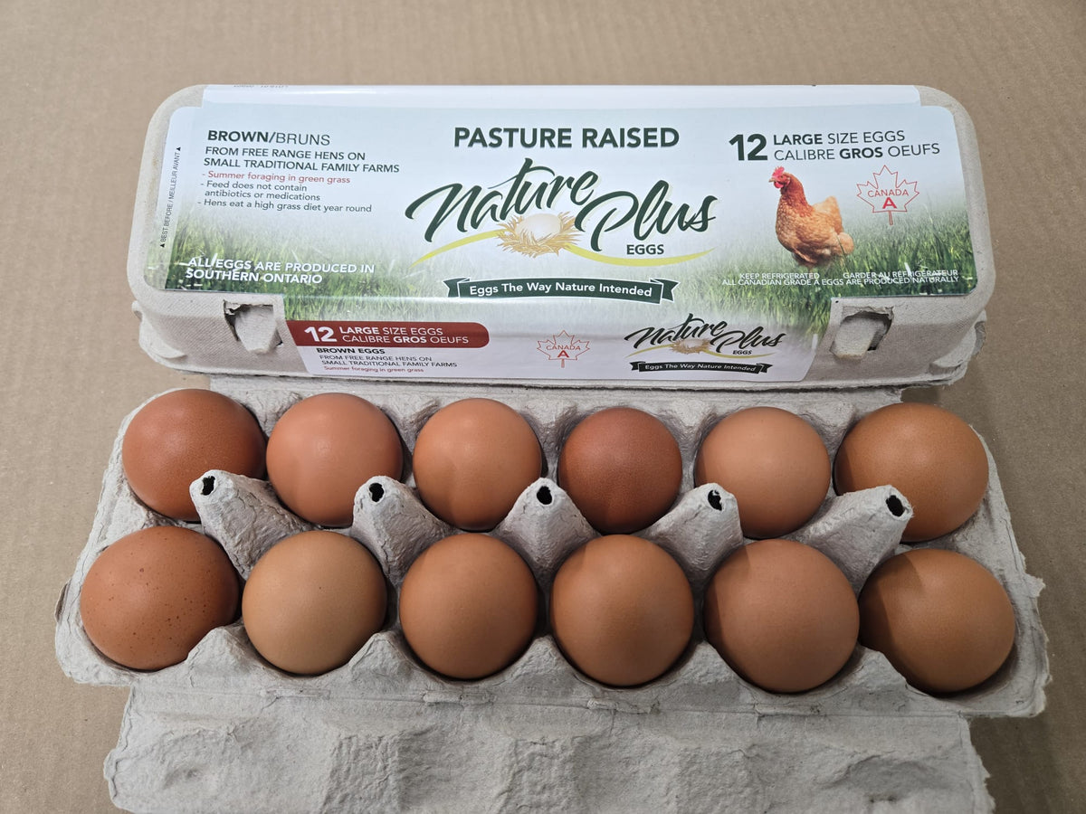 Large Pasture Raised Eggs - Carton