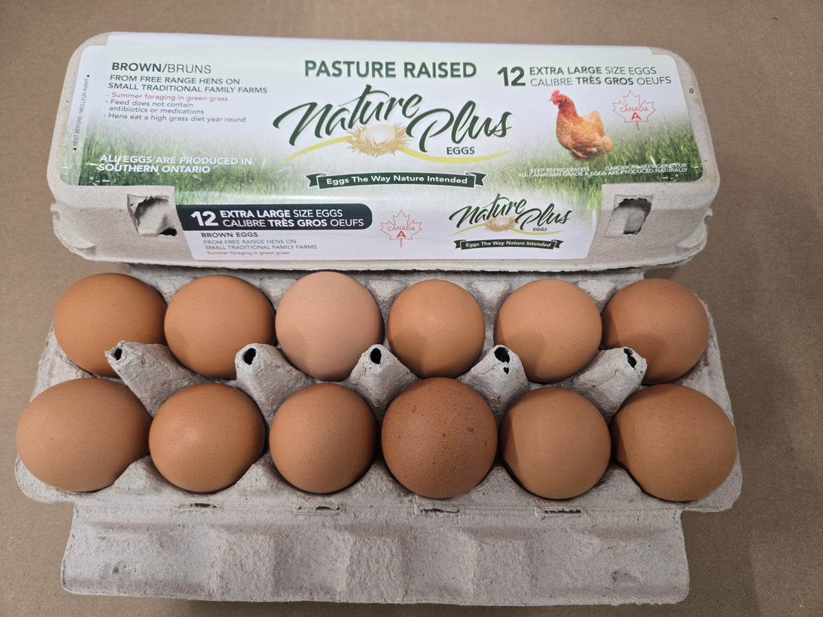 Extra Large Pasture Raised Eggs - Carton