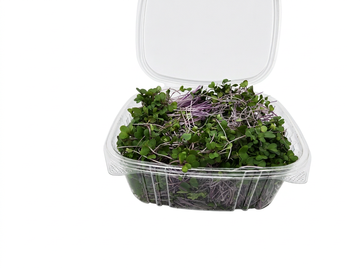 Purple Kohlrabi Microgreens