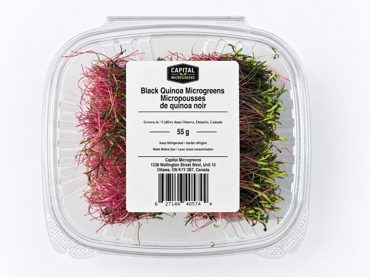 Black Quinoa 55g
