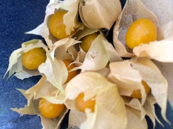 Ground Cherries