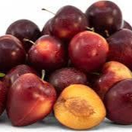 Cherry Plums
