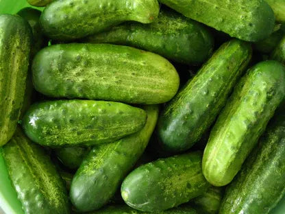 Small Pickling Cucumbers