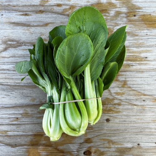 Bok Choi (Green)