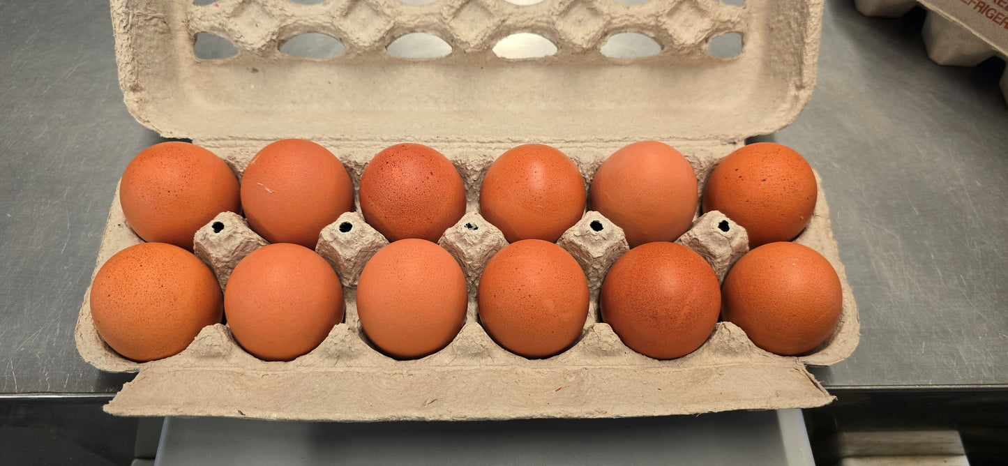 Medium Brown Regular Dozen