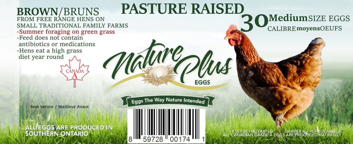 Medium Pasture Raised Eggs - Flat