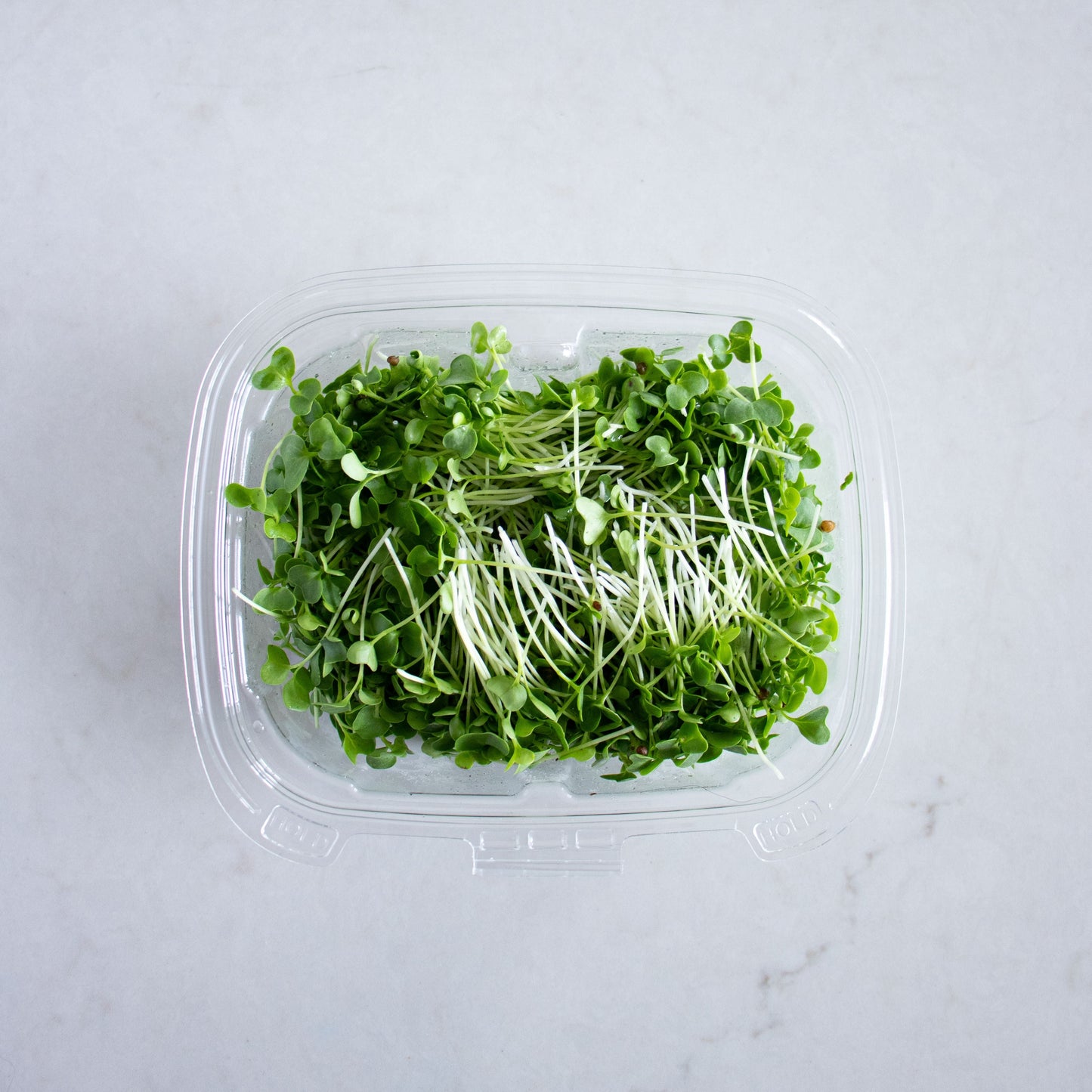 Micro Kale