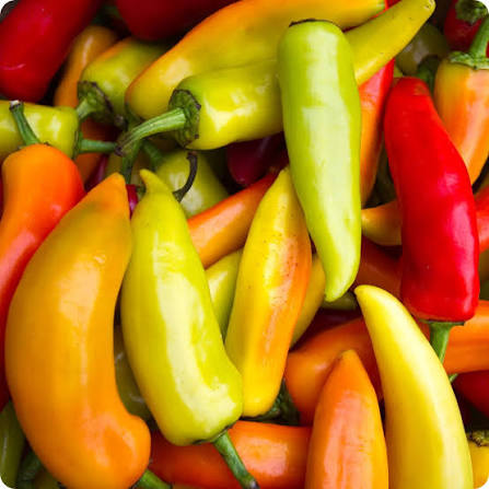 Hungarian Hot Peppers
