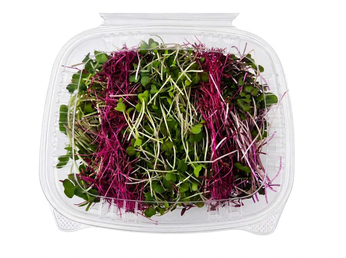 Spicy Rainbow Mix Microgreens (110 g)
