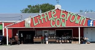 Little Brown Cow