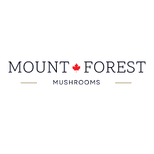 Mount Forest Mushrooms