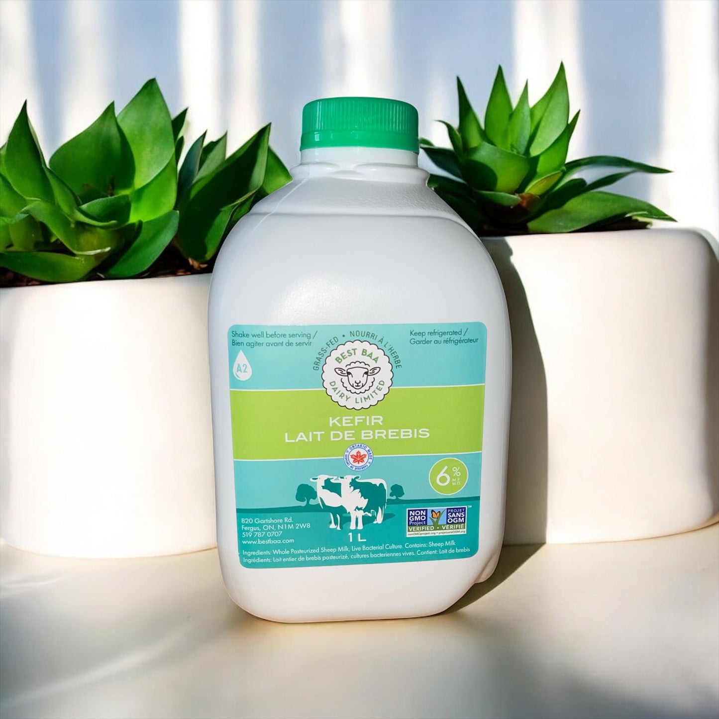 Sheep Milk Kefir