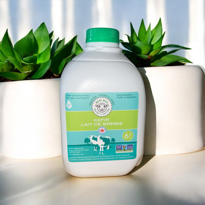 Sheep Milk Kefir