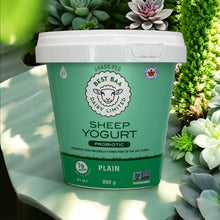 Plain Sheep Yogurt 800g