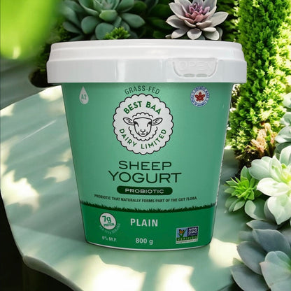 Plain Sheep Yogurt 800g