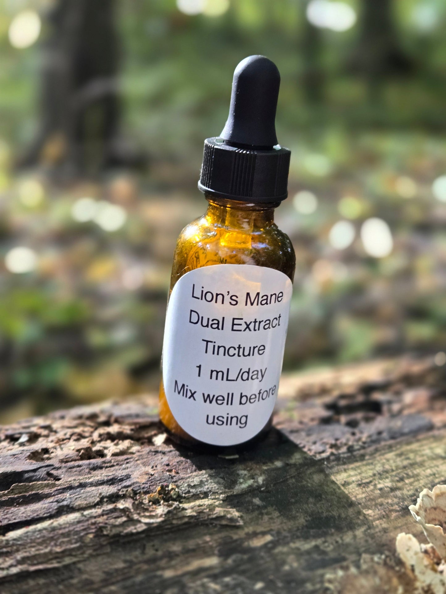 Lion's Mane Mushroom Tincture