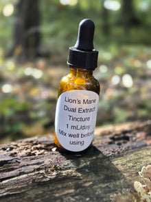 Lion's Mane Mushroom Tincture