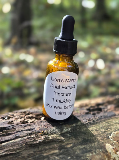Lion's Mane Mushroom Tincture
