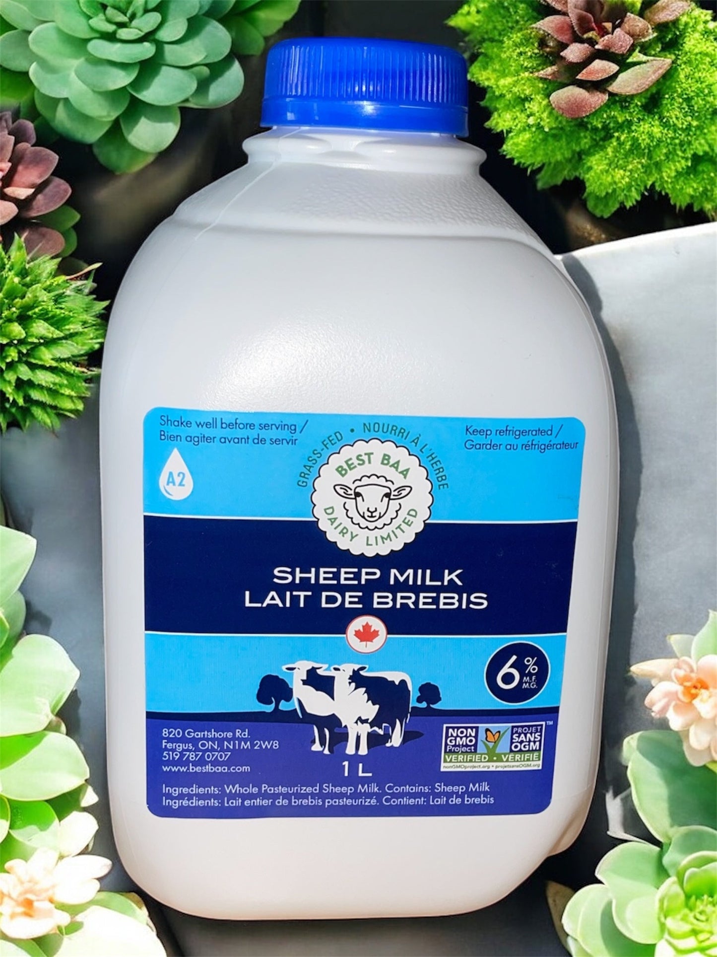Whole Pasteurized Sheep Milk 4L