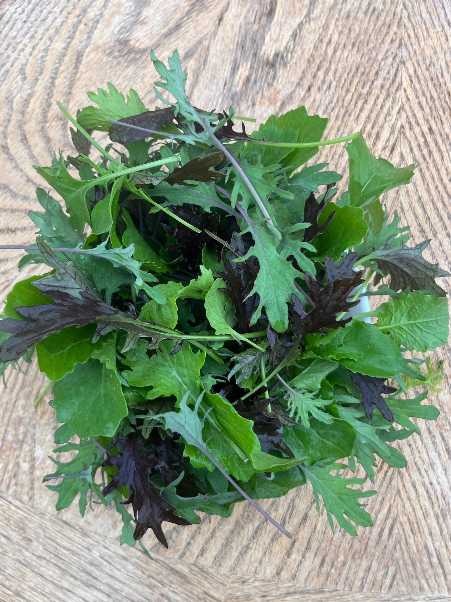 Baby Kale Mix