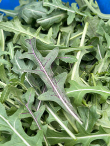 Baby Arugula