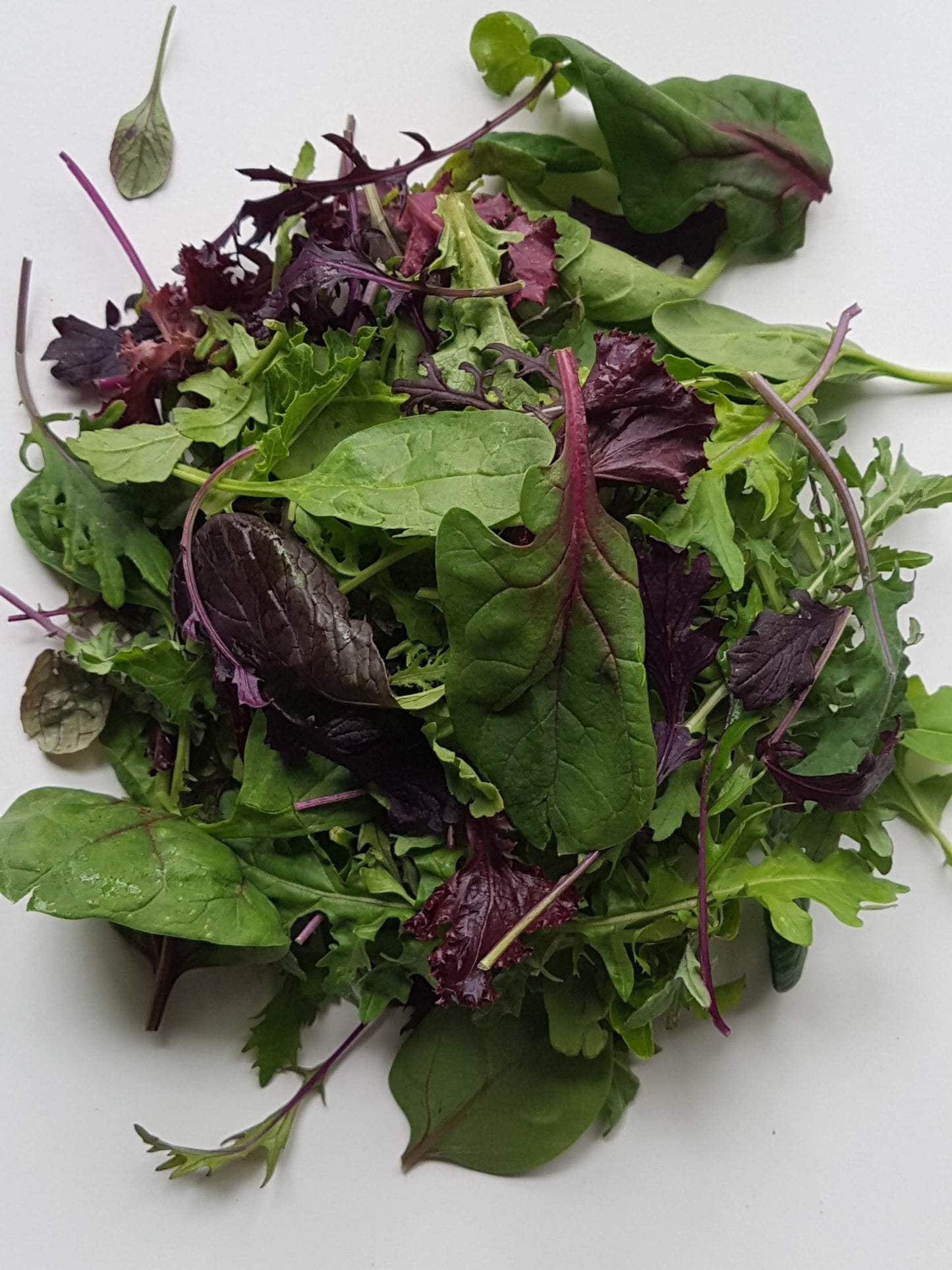 Kitchen Sink Mixed Greens