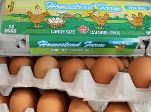 Free Range Brown Eggs