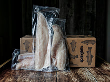 Pickerel (Walleye)