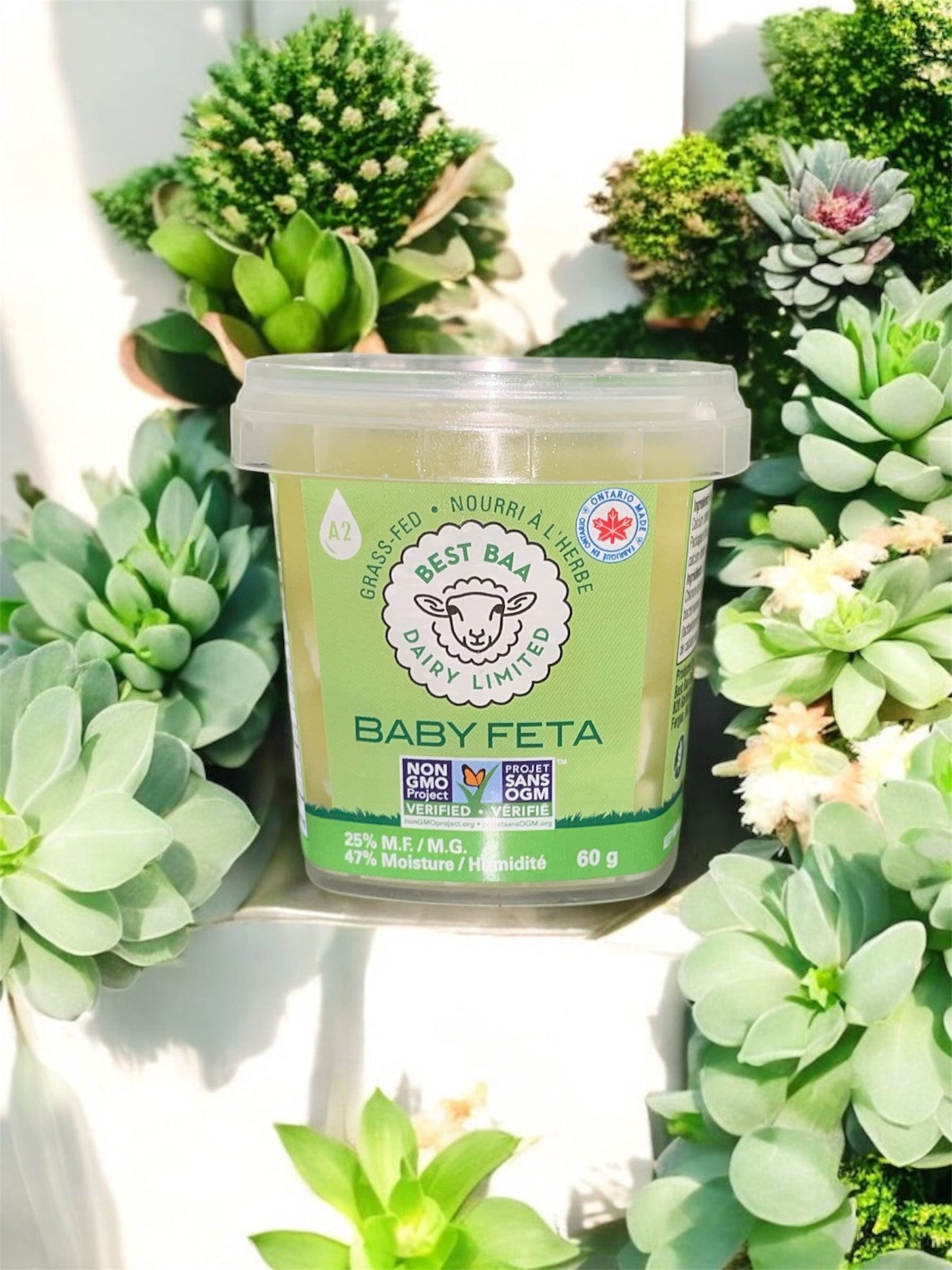 Baby Feta - Sale 30% off (reg. $4.75)