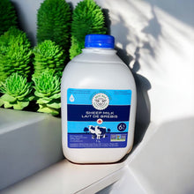 Whole Pasteurized Sheep Milk 1L
