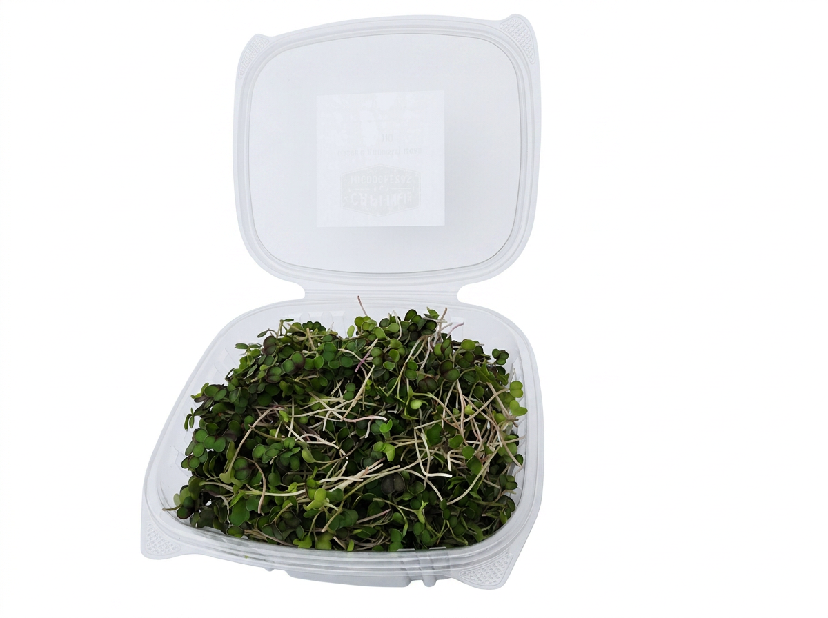 Green Kale Microgreens