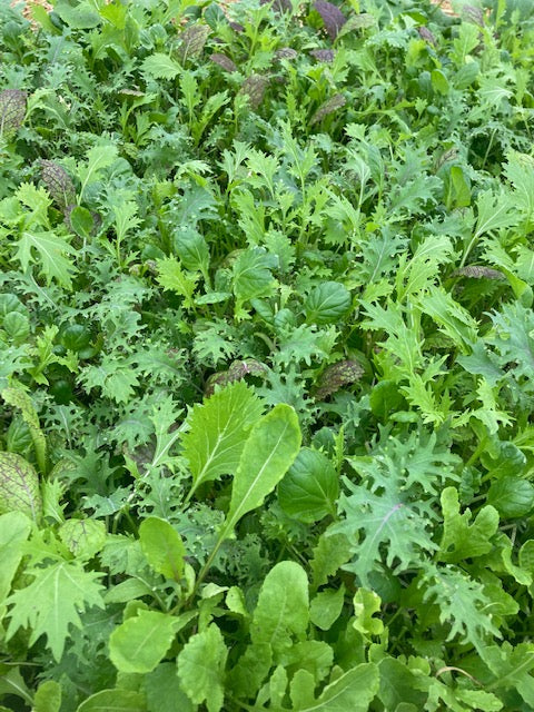 Spicy Greens