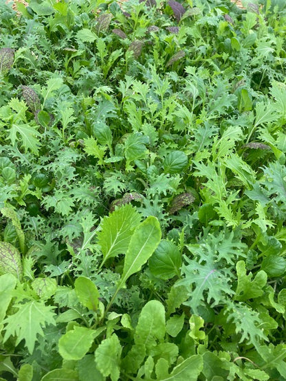 Spicy Greens
