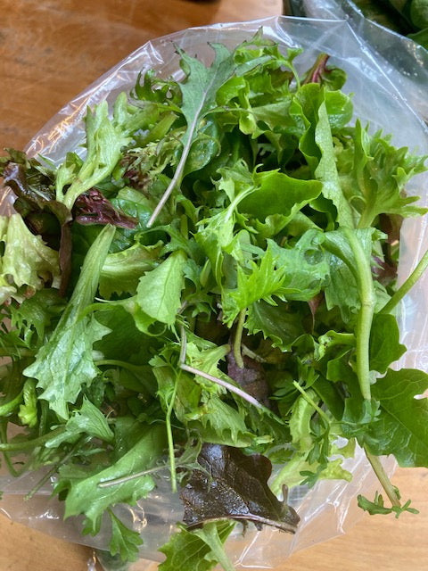 Baby Salad Mix