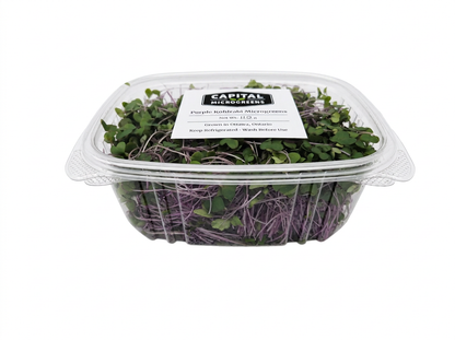 Purple Kohlrabi Microgreens