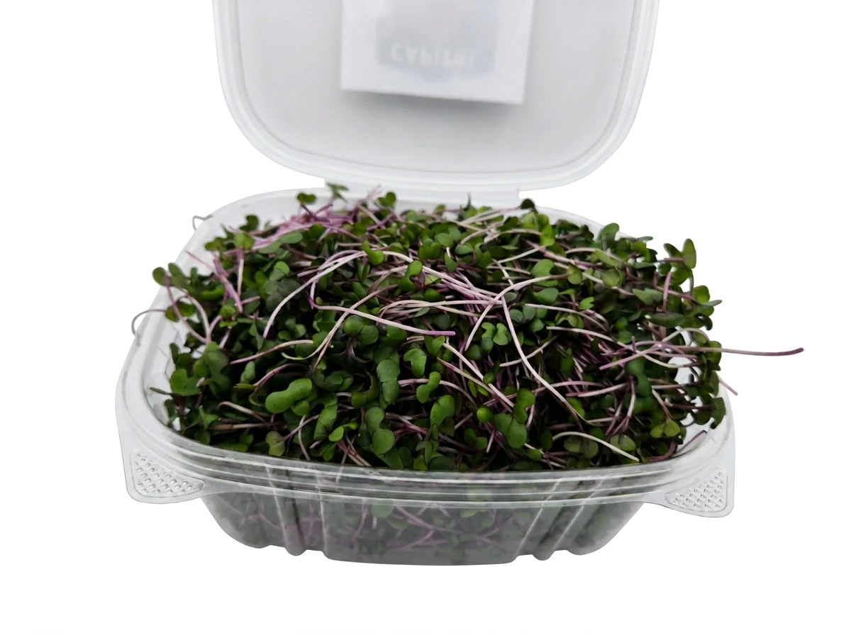 Red Cabbage Microgreens