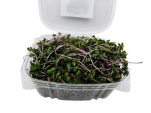 Red Cabbage Microgreens (110 g)