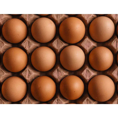 Free Range Extra Large Eggs