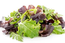 Baby Salad Mix