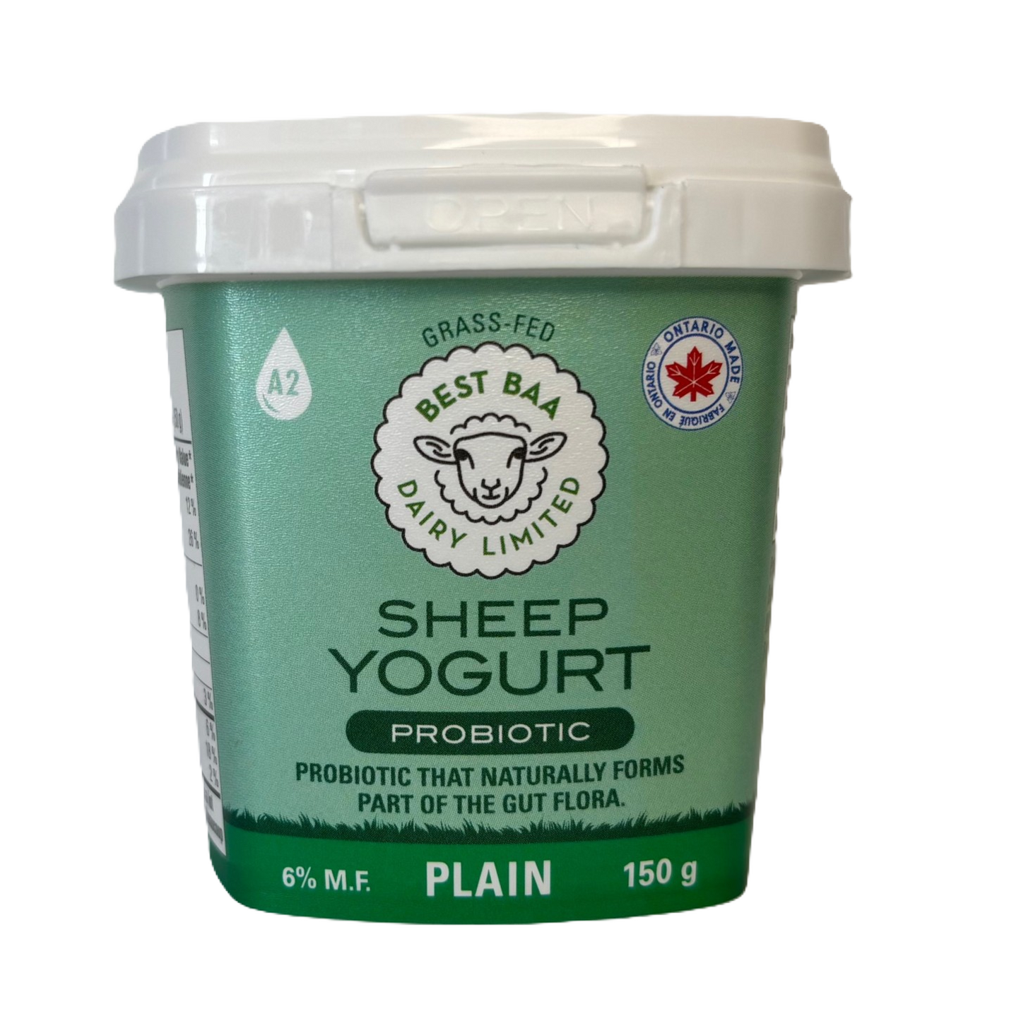 Plain Sheep Yogurt