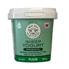 Plain Sheep Yogurt