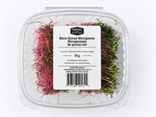 Black Quinoa 55g