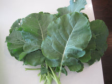 Broccoli Leaf
