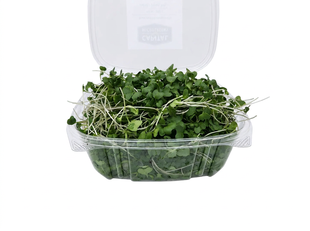 Broccoli Microgreens (110 g)