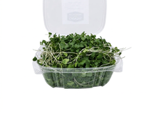Broccoli Microgreens (110 g)