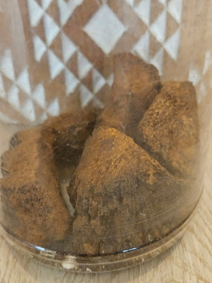 Chaga Dual Extract Tincture