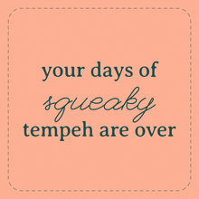 Teriyaki – oomamee Tempeh Deli Slices