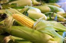 Sweet Corn